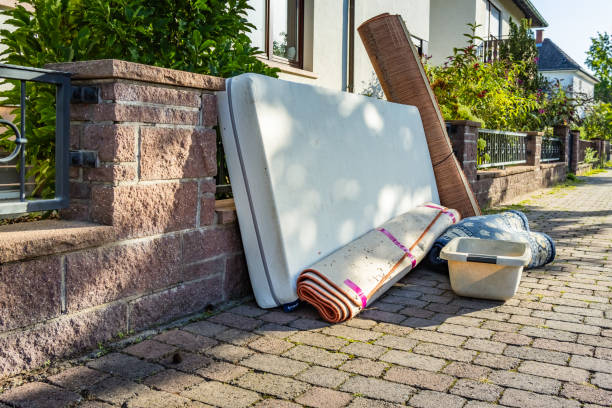 Best Yard Cleanup Services  in Albany, KY